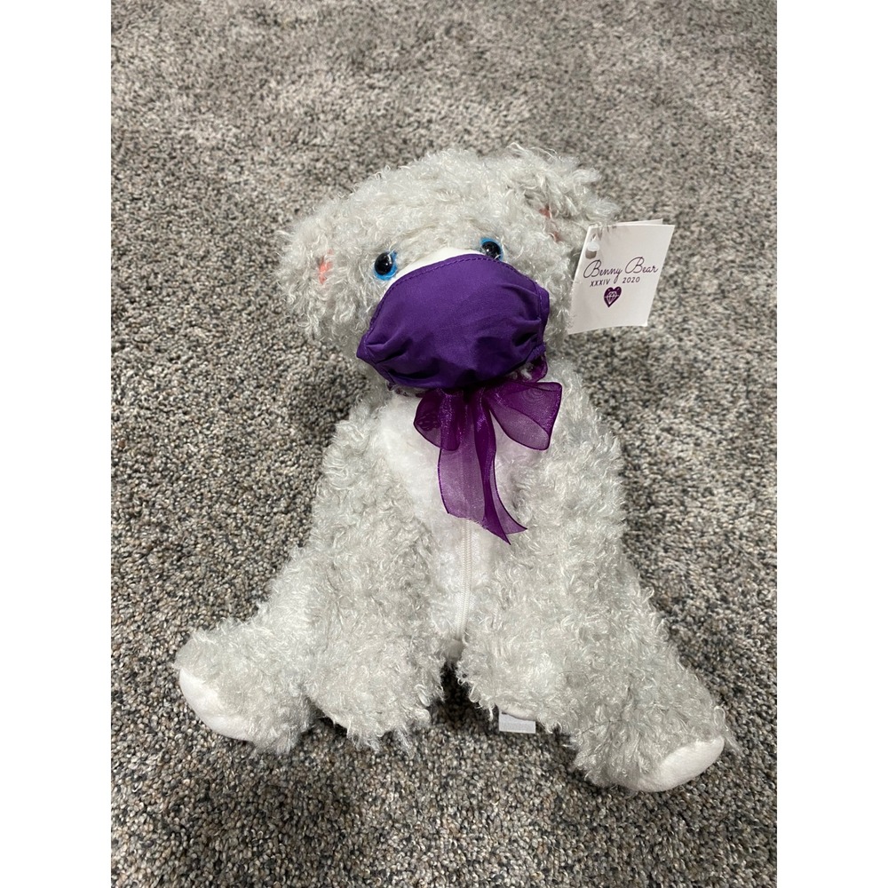Ben Bridge Benny Bear XXXIV 2020 Gray Plush Teddy Bear with Purple Mask NWT